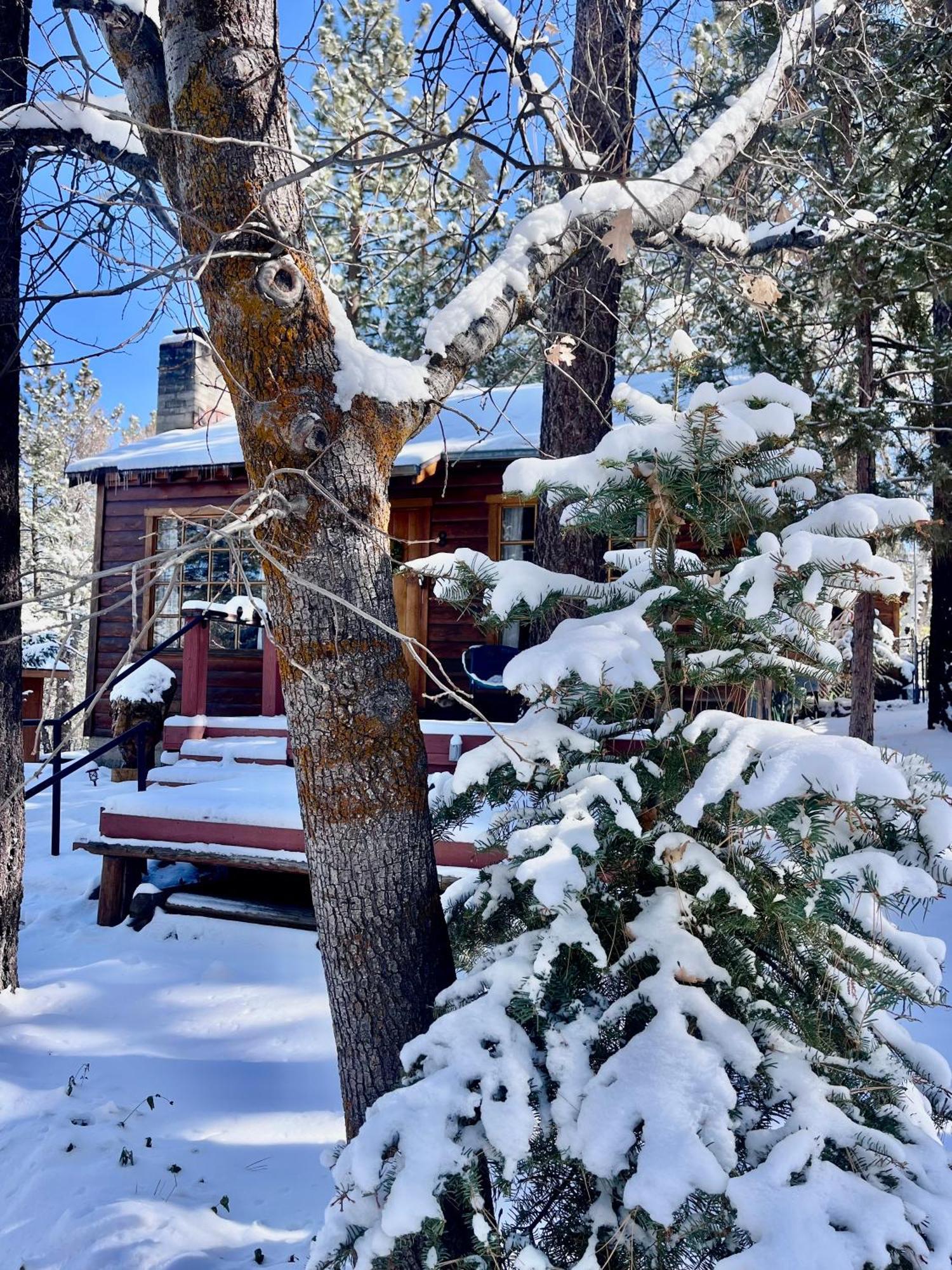 The Nest On Towne Trail - Hot Tub, Bbq, Fire Pit Villa Big Bear Lake Ngoại thất bức ảnh