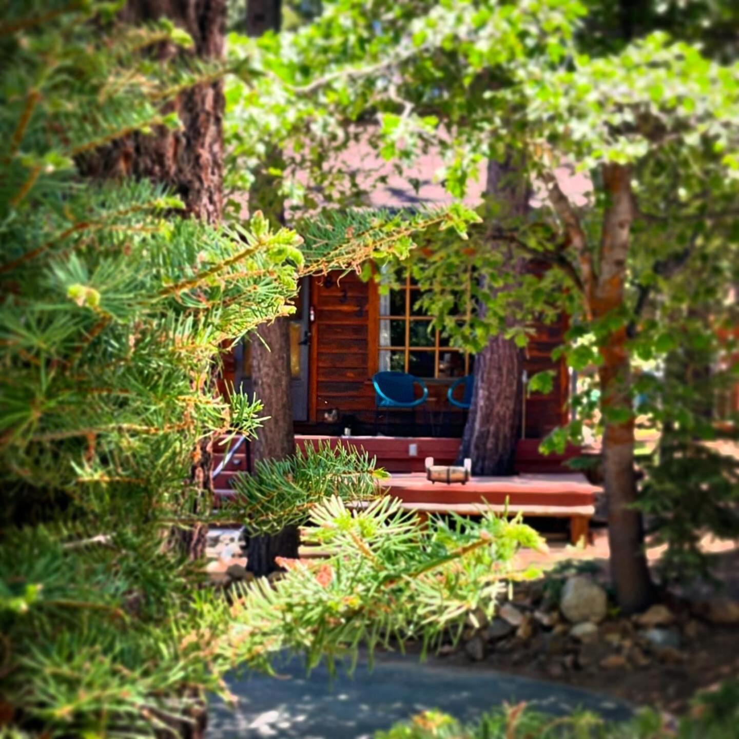 The Nest On Towne Trail - Hot Tub, Bbq, Fire Pit Villa Big Bear Lake Ngoại thất bức ảnh
